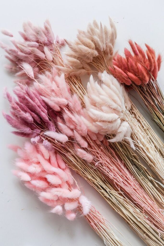 b84617e877f1d367d4f40eb4e1459991